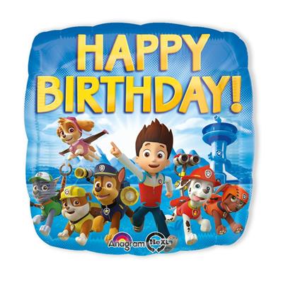 18 PAW PATROL HBDAY             5PZMC 100