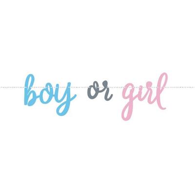 BLUE OR PINK GENDER REVEAL BANNER, 7FT PZ.  MC. 144